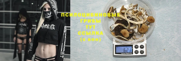 круглые Алексин