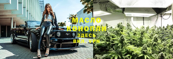 метадон Няндома