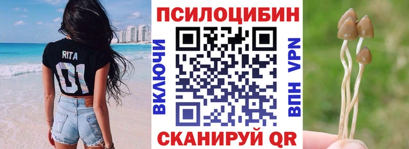 блэк спрут ссылки  Нижние Серги  Псилоцибиновые грибы прущие грибы  где купить  